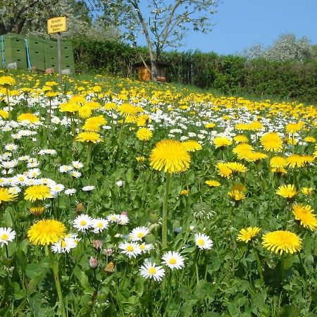Ferienwohnungen "Allerleigruen" Langenroda Esterno foto