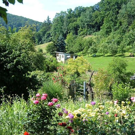 Ferienwohnungen "Allerleigruen" Langenroda Esterno foto