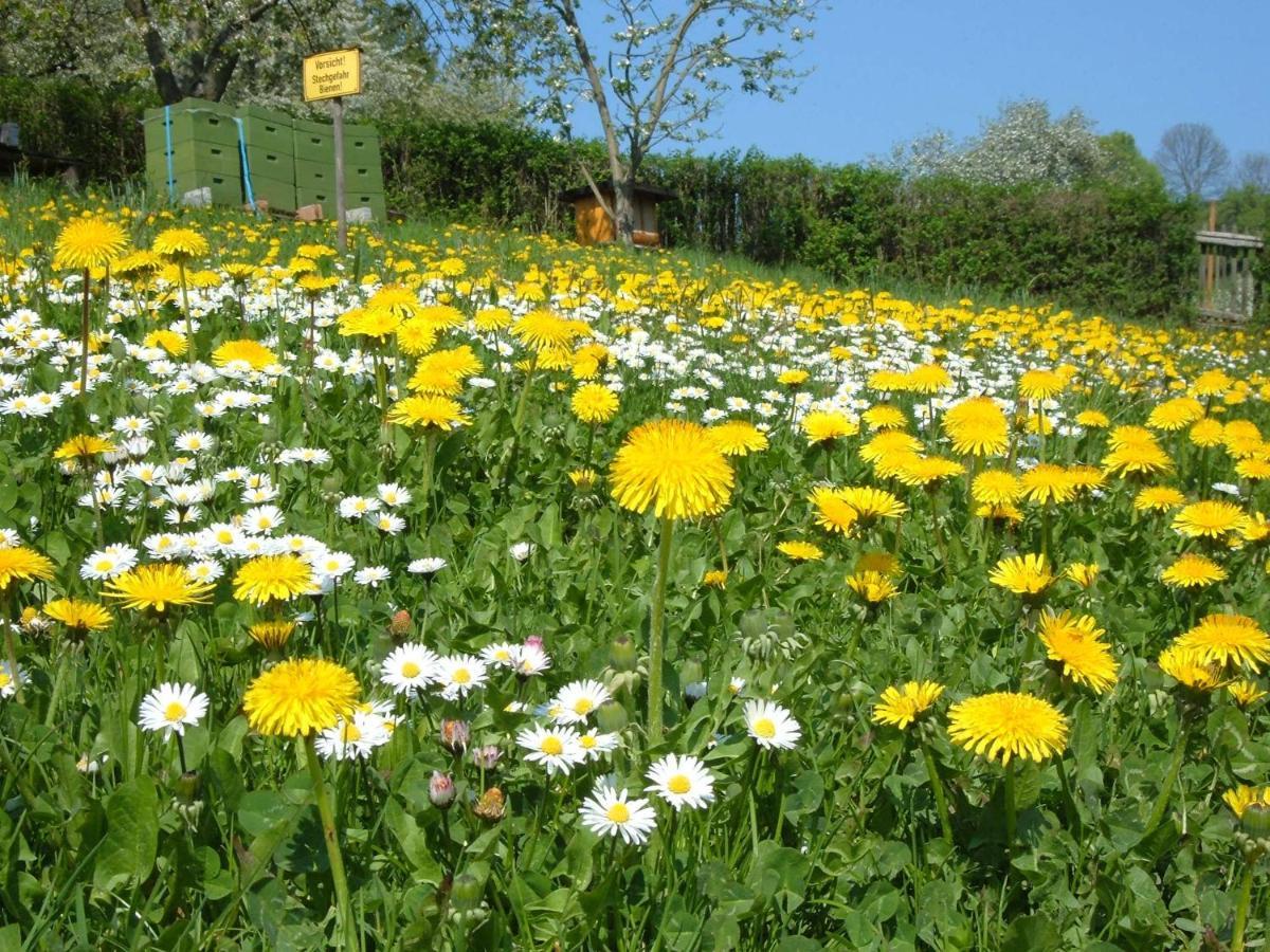 Ferienwohnungen "Allerleigruen" Langenroda Esterno foto