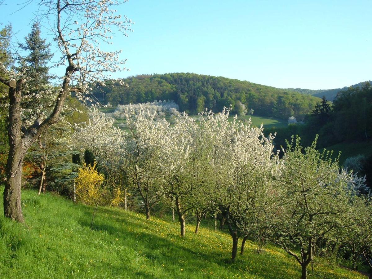 Ferienwohnungen "Allerleigruen" Langenroda Esterno foto