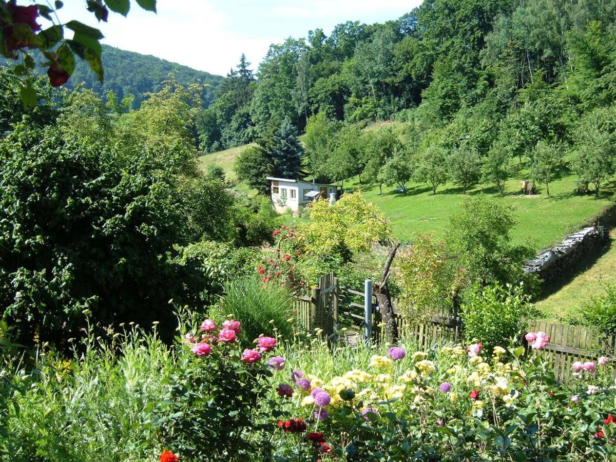 Ferienwohnungen "Allerleigruen" Langenroda Esterno foto